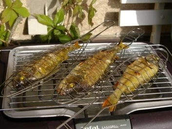 Gegrillte Flußbarsche mit Rosmarin,Lavendel und Zitronenthymian - Rezept - Bild Nr. 3