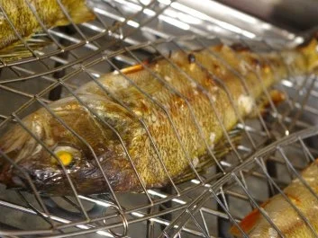 Gegrillte Flußbarsche mit Rosmarin,Lavendel und Zitronenthymian - Rezept - Bild Nr. 4