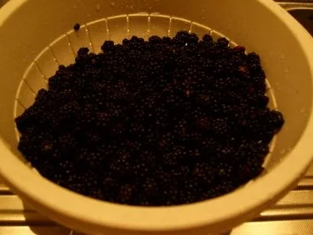 Brombeerkonfitüre - dieses Mal pur - Rezept - Bild Nr. 3