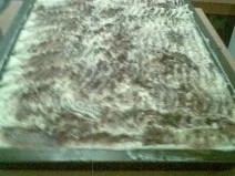 Spreewelle - Rezept - Bild Nr. 6