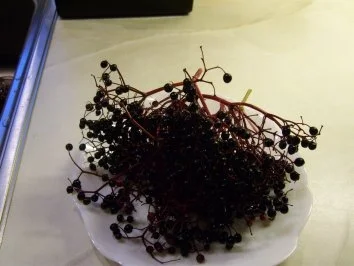 Holunderbeerenkonfitüre - Rezept - Bild Nr. 2