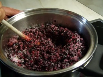 Holunderbeerenkonfitüre - Rezept - Bild Nr. 6