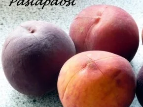 Grappa Pfirsiche - Rezept - Bild Nr. 2