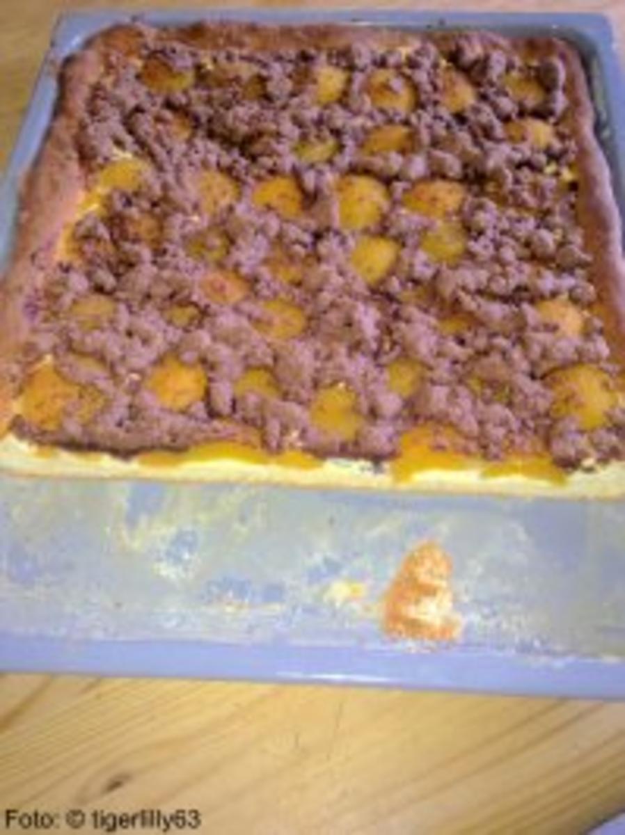 Schoko-Streuselkuchen mit Aprikosen - Rezept - Bild Nr. 2