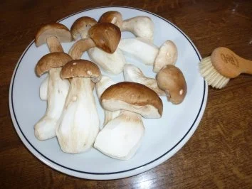 Fettuccine mit frischen Steinpilzen - Rezept - Bild Nr. 2