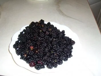 Konfitüre aus der Mikrowelle - Rezept