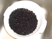 Holunderbeerengelee - Rezept