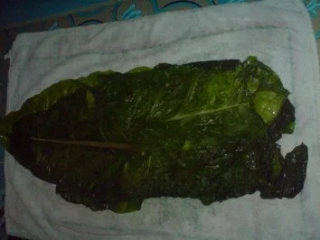 Mangoldrolle - Rezept