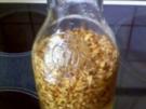 Orangenblütenlikör - Rezept