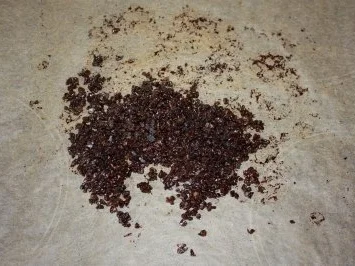 Balsamicosalz - Rezept - Bild Nr. 7