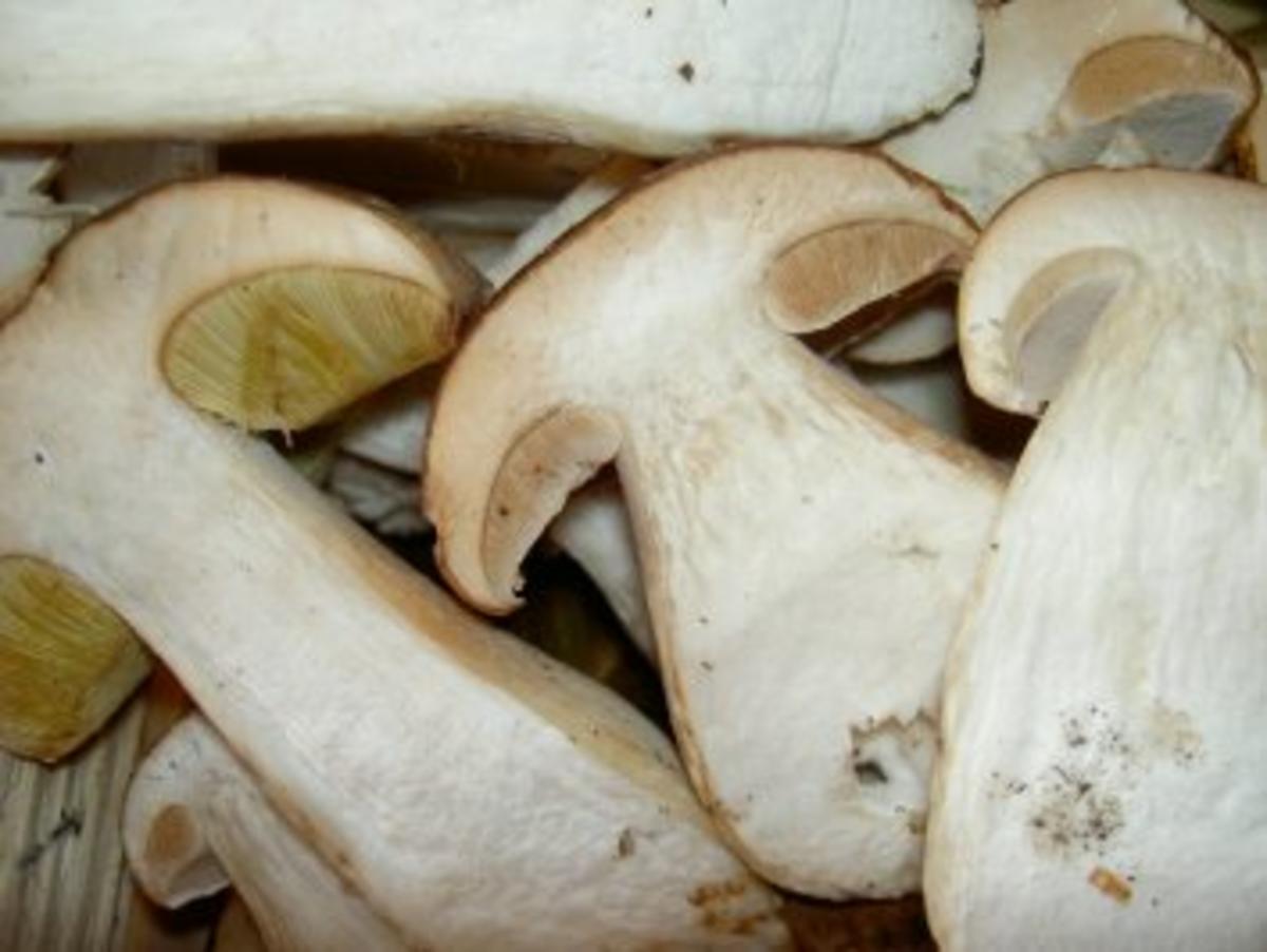 Tagliatelle Nudeln mit frischen Steinpilzen - Rezept - kochbar.de