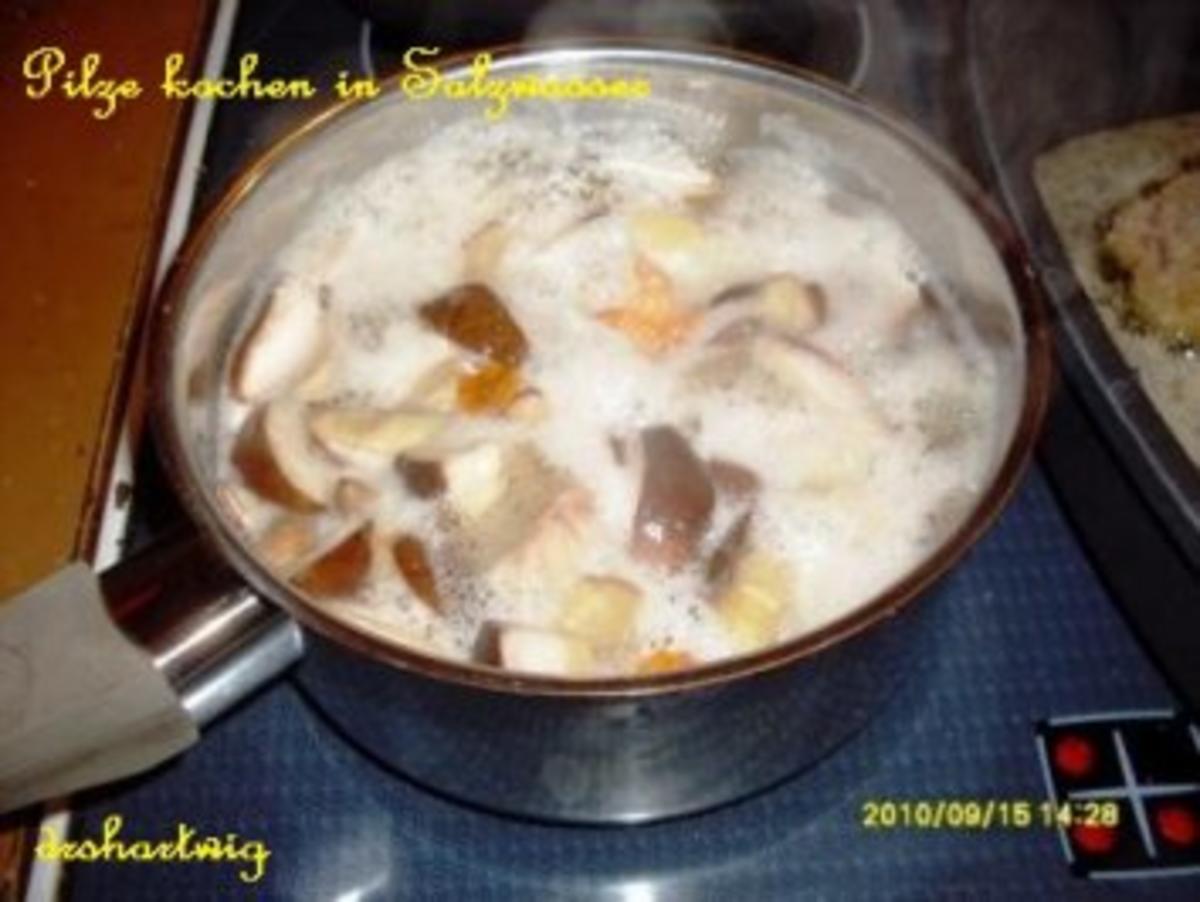 Pfannengericht~Schnitzel mit Pilze - Rezept - Bild Nr. 5