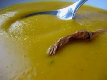 Chili-Kürbis-Suppe - Rezept