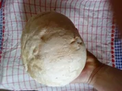 Hauptgericht: ein Pilz für drei ... reicht aber auch für drei Tage!!!! - Rezept