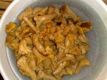 Schweinemedallions mit Pfifferlingensauce / Keine STERNEN vergeben bitte!!! - Rezept - Bild Nr. 6