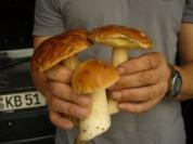 " Saure Pfiffer"  Fränkisch - Rezept