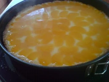 Mandarinenkuchen - Rezept - Bild Nr. 16