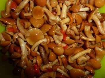 Rezept: Pute in Riesling-Waldpilzsauce an Makkaroni Bild Nr. 4 Pute in Riesling-Waldpilzsauce an Makkaroni - Rezept - Bild Nr. 4