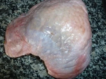 Rezept: Pute in Riesling-Waldpilzsauce an Makkaroni Bild Nr. 6 Pute in Riesling-Waldpilzsauce an Makkaroni - Rezept - Bild Nr. 6