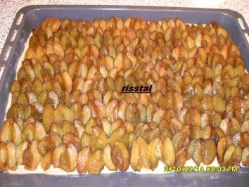 Rezept: Zwetschgenkuchen vom Blech Bild Nr. 4 Zwetschgenkuchen vom Blech - Rezept - Bild Nr. 4