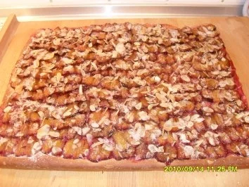 Rezept: Zwetschgenkuchen vom Blech Bild Nr. 7 Zwetschgenkuchen vom Blech - Rezept - Bild Nr. 7