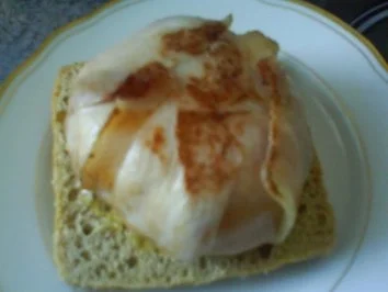 Rezept: Mozarella Burger Bild Nr. 16 Mozarella Burger - Rezept - Bild Nr. 16