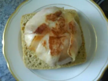 Rezept: Mozarella Burger Bild Nr. 17 Mozarella Burger - Rezept - Bild Nr. 17