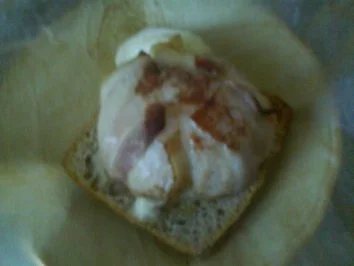 Rezept: Mozarella Burger Bild Nr. 23 Mozarella Burger - Rezept - Bild Nr. 23