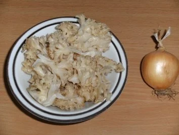 Pilze: Krause Glucke geschmort - Rezept - Bild Nr. 2