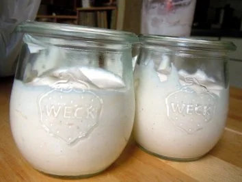 Trauben auf Vanille-Quark-Creme - Rezept - Bild Nr. 7