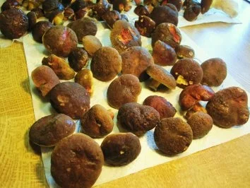 Rezept: Waldpilz-Pfanne aus 3 verschiedenen Pilzen ... Bild Nr. 3 Waldpilz-Pfanne aus 3 verschiedenen Pilzen ... - Rezept - Bild Nr. 3