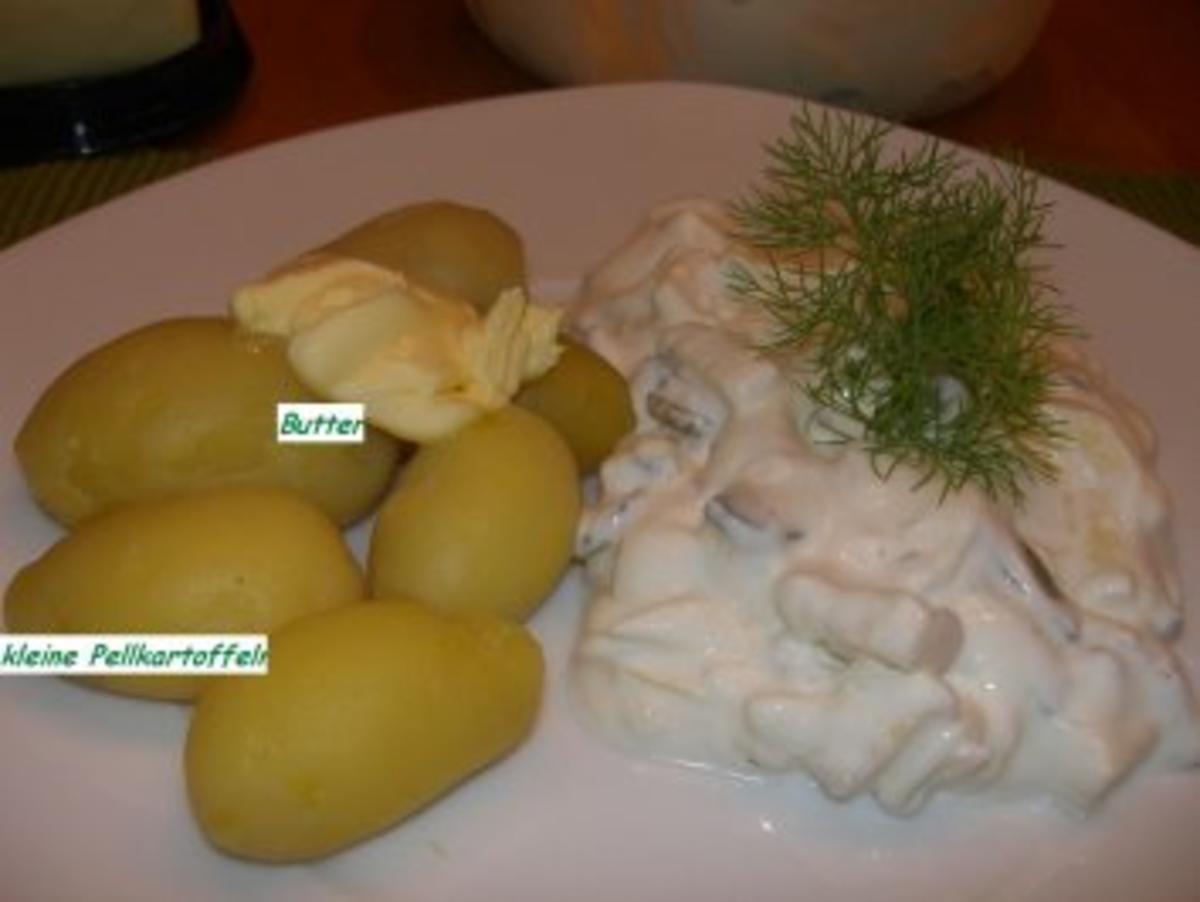 Fisch:   HERINGSSTIPP an Sahnejoghurt - Rezept - Bild Nr. 6