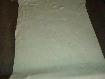 Rezept: Blätterteig - Sauerkraut - Rolle Bild Nr. 2 Blätterteig - Sauerkraut - Rolle - Rezept - Bild Nr. 2