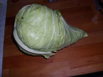 Rezept: Kartoffel-Spitzkohl-Salat Bild Nr. 3 Kartoffel-Spitzkohl-Salat - Rezept - Bild Nr. 3