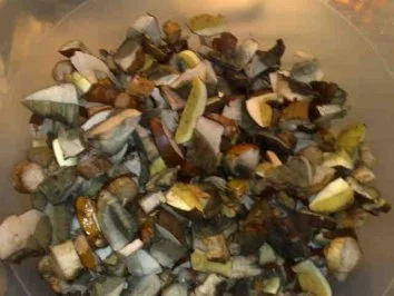 Waldpilze-Pfanne / Keine STERNEN vergeben bitte!!! - Rezept - Bild Nr. 2