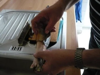 Rezept: Geräucherter Aal Bild Nr. 3 Geräucherter Aal - Rezept - Bild Nr. 3