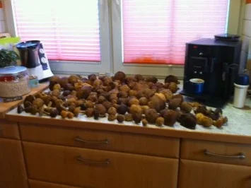 Waldpilze rustikal - Rezept - Bild Nr. 2