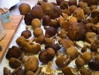 Waldpilze rustikal - Rezept - Bild Nr. 4