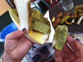 Waldpilze rustikal - Rezept - Bild Nr. 9