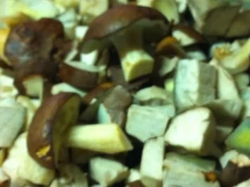 Waldpilze rustikal - Rezept - Bild Nr. 16