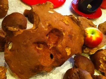 Waldpilze rustikal - Rezept - Bild Nr. 17