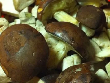 Waldpilze rustikal - Rezept - Bild Nr. 18