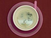 Brennnesselsuppe (Rosa von Praunheim) - Rezept