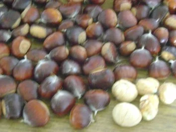 Kastanienreis für den Wintervorrat - Rezept - Bild Nr. 2