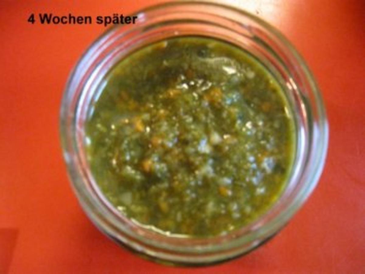 Suppengrün haltbar gemacht - Rezept - Bild Nr. 20