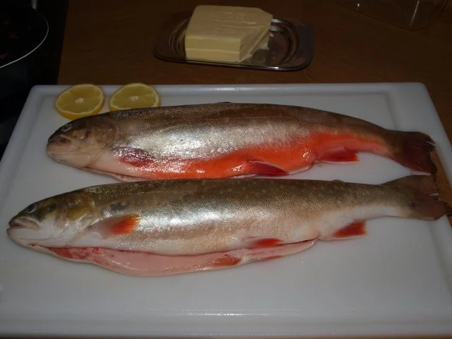 Bergische Forellen - Rezept