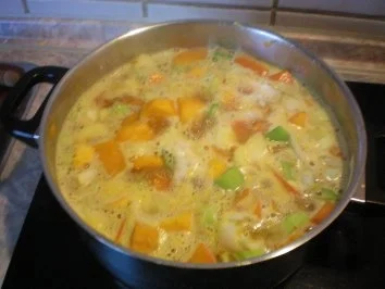 Rezept: Feine Kürbis-Ingwer Suppe Bild Nr. 4 Feine Kürbis-Ingwer Suppe - Rezept - Bild Nr. 4