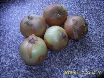 Rezept: Zwiebelkottelet a la Isabella Bild Nr. 7 Zwiebelkottelet a la Isabella - Rezept - Bild Nr. 7