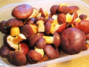 Rezept: Maronen in einer feinen Rahmsoße Bild Nr. 2 Maronen in einer feinen Rahmsoße - Rezept - Bild Nr. 2