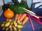 Eintopf: Mangold - Karotten - Kürbistopf - Rezept